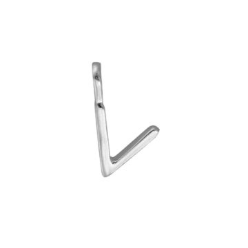 Silver V Initial Charm