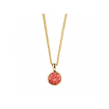 Ette Gold Plated Necklace