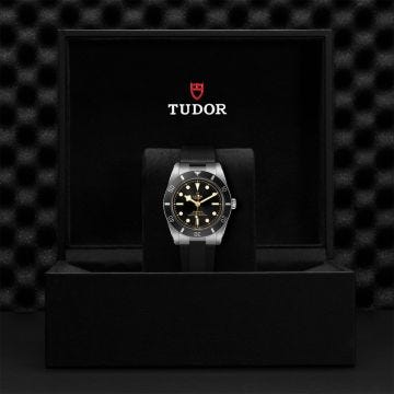  Black Bay 54 Collection 37mm, Steel, Black Dial, Automatic Watch