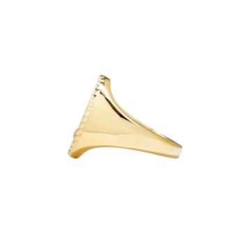9K Yellow Gold Chevalière Ovale Agathe Rouge or Jaune