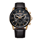 Citizen Eco-Drive Calibre 8700 Perpetual Calendar