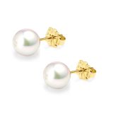 18k Yellow Gold AAA Japanese Akoya Pearl Stud Earrings