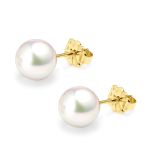 18ct yellow gold AAA Japanese Akoya pearl stud earrings