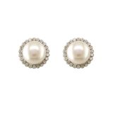 9K White Gold Freshwater Pearl and Cubic Zirconia Edge Stud Earrings