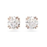 Swarovski Rose Gold Tone Constella Stud Earrings