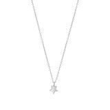 Sterling Silver Star Pendant Necklace