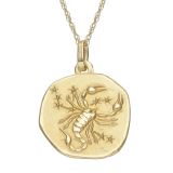 9k Yellow 16mm Zodiac Scorpio Gold Pendant Necklace