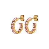 Photo of the DYRBERG/KERN Raquel Gold Tone Hoop Earrings with pink crystals 460063
