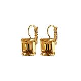 Photo of the DYRBERG/KERN Segin Gold Tone Earrings with champagne crystals 460000