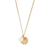 Chlobo Dreamer's Paradise Gold Plated White Shell Pendant Necklace GNCC35353541, featuring a luminous white shell charm suspended from a radiant gold plated chain, evoking a sense of calm and coastal beauty.