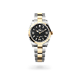 Explorer 36